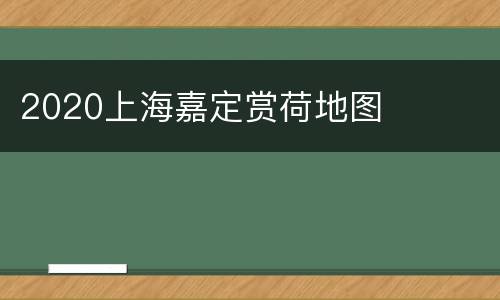 2020上海嘉定赏荷地图