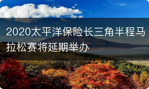2020太平洋保险长三角半程马拉松赛将延期举办