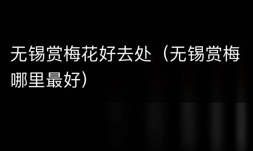无锡赏梅花好去处（无锡赏梅哪里最好）