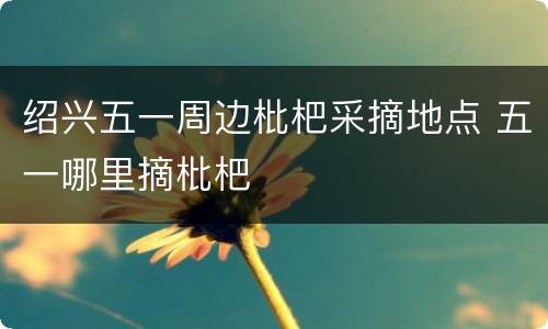 绍兴五一周边枇杷采摘地点 五一哪里摘枇杷