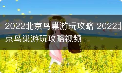 2022北京鸟巢游玩攻略 2022北京鸟巢游玩攻略视频