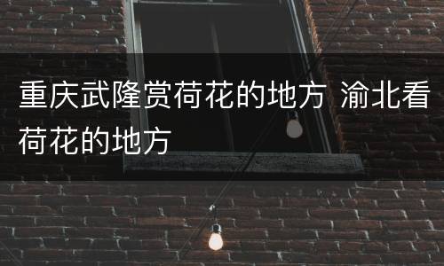 重庆武隆赏荷花的地方 渝北看荷花的地方