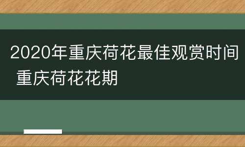 2020年重庆荷花最佳观赏时间 重庆荷花花期