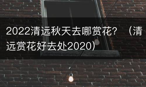 2022清远秋天去哪赏花？（清远赏花好去处2020）
