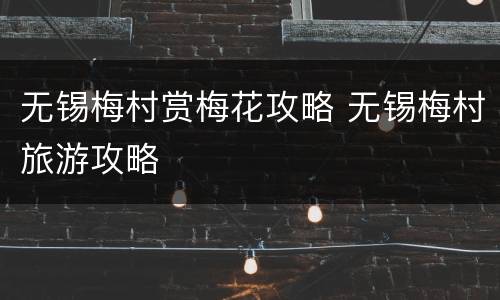 无锡梅村赏梅花攻略 无锡梅村旅游攻略