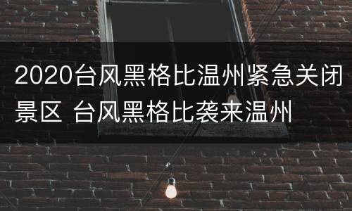 2020台风黑格比温州紧急关闭景区 台风黑格比袭来温州