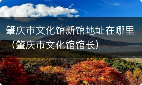 肇庆市文化馆新馆地址在哪里（肇庆市文化馆馆长）
