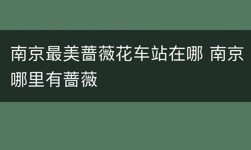 南京最美蔷薇花车站在哪 南京哪里有蔷薇