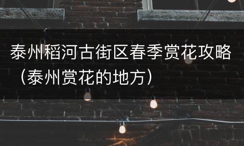 泰州稻河古街区春季赏花攻略（泰州赏花的地方）