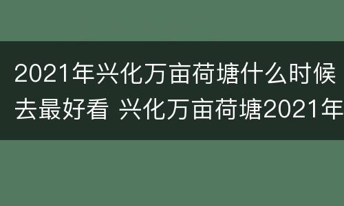 2021年兴化万亩荷塘什么时候去最好看 兴化万亩荷塘2021年开园