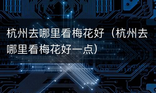 杭州去哪里看梅花好（杭州去哪里看梅花好一点）