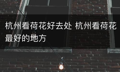 杭州看荷花好去处 杭州看荷花最好的地方