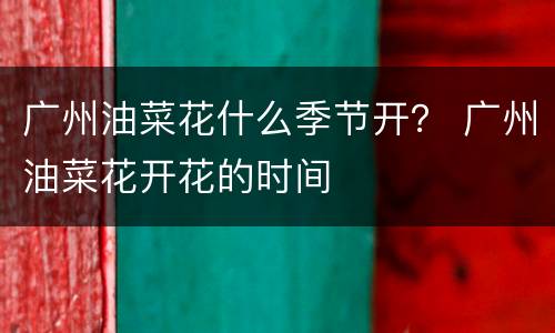 广州油菜花什么季节开？ 广州油菜花开花的时间