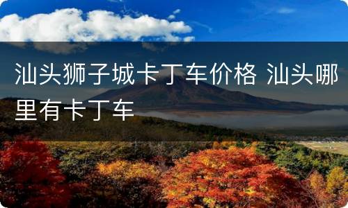 汕头狮子城卡丁车价格 汕头哪里有卡丁车