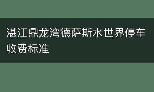 湛江鼎龙湾德萨斯水世界停车收费标准