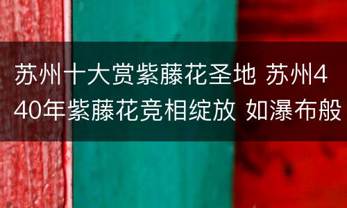 苏州十大赏紫藤花圣地 苏州440年紫藤花竞相绽放 如瀑布般倾泻而下画 面绝美