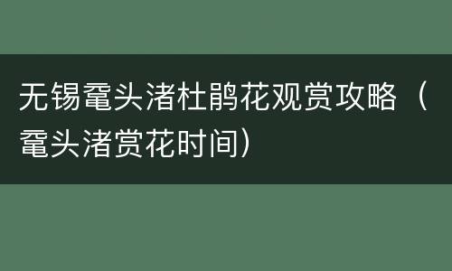 无锡鼋头渚杜鹃花观赏攻略（鼋头渚赏花时间）