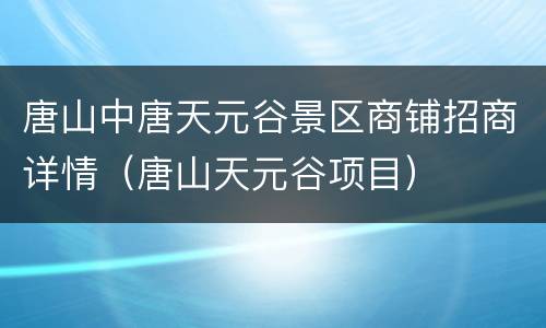 唐山中唐天元谷景区商铺招商详情（唐山天元谷项目）