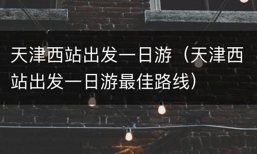 天津西站出发一日游（天津西站出发一日游最佳路线）
