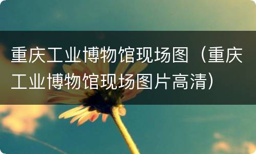 重庆工业博物馆现场图（重庆工业博物馆现场图片高清）