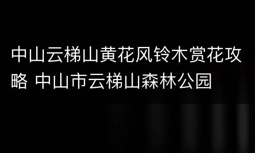 中山云梯山黄花风铃木赏花攻略 中山市云梯山森林公园
