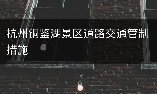 杭州铜鉴湖景区道路交通管制措施