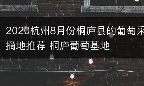2020杭州8月份桐庐县的葡萄采摘地推荐 桐庐葡萄基地