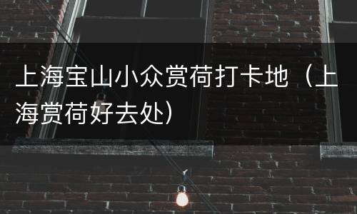 上海宝山小众赏荷打卡地（上海赏荷好去处）