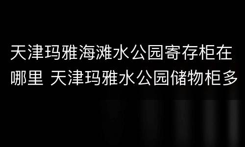 天津玛雅海滩水公园寄存柜在哪里 天津玛雅水公园储物柜多少钱
