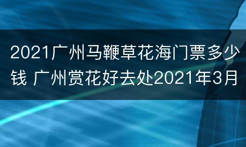 2021广州马鞭草花海门票多少钱 广州赏花好去处2021年3月