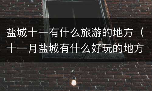 盐城十一有什么旅游的地方（十一月盐城有什么好玩的地方）