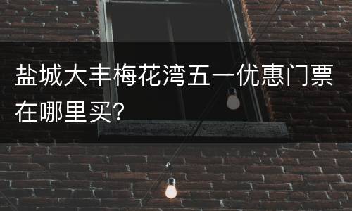 盐城大丰梅花湾五一优惠门票在哪里买？