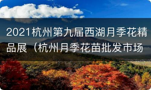 2021杭州第九届西湖月季花精品展（杭州月季花苗批发市场在哪?）