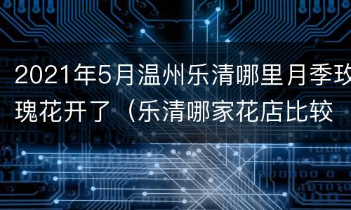 2021年5月温州乐清哪里月季玫瑰花开了（乐清哪家花店比较好）