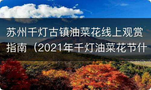 苏州千灯古镇油菜花线上观赏指南（2021年千灯油菜花节什么时间）