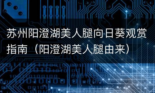 苏州阳澄湖美人腿向日葵观赏指南（阳澄湖美人腿由来）