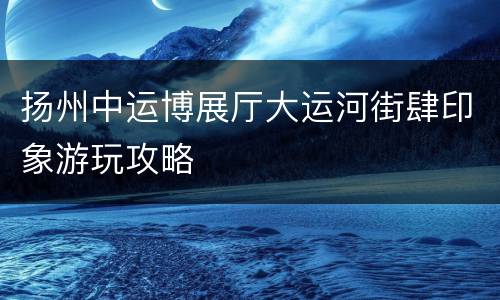 扬州中运博展厅大运河街肆印象游玩攻略