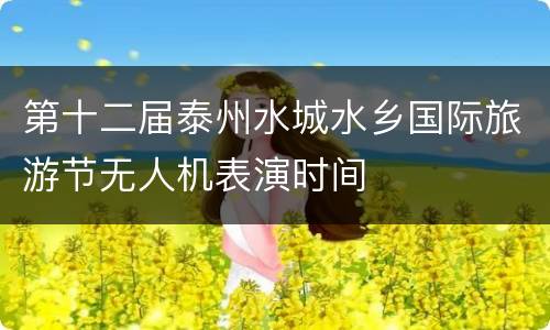 第十二届泰州水城水乡国际旅游节无人机表演时间