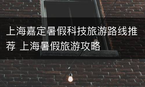 上海嘉定暑假科技旅游路线推荐 上海暑假旅游攻略
