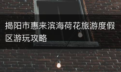 揭阳市惠来滨海荷花旅游度假区游玩攻略