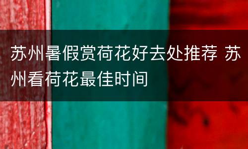 苏州暑假赏荷花好去处推荐 苏州看荷花最佳时间