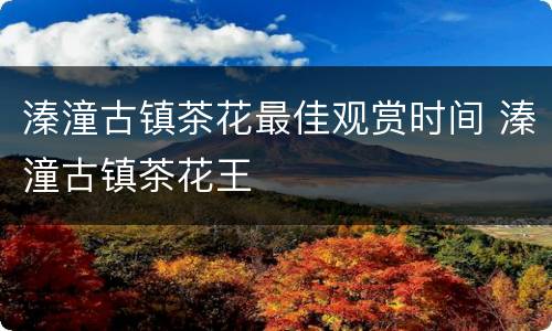 溱潼古镇茶花最佳观赏时间 溱潼古镇茶花王