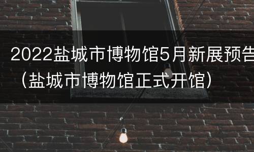 2022盐城市博物馆5月新展预告（盐城市博物馆正式开馆）