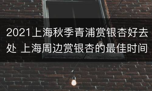 2021上海秋季青浦赏银杏好去处 上海周边赏银杏的最佳时间和地点