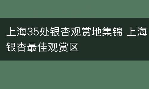 上海35处银杏观赏地集锦 上海银杏最佳观赏区