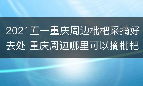 2021五一重庆周边枇杷采摘好去处 重庆周边哪里可以摘枇杷