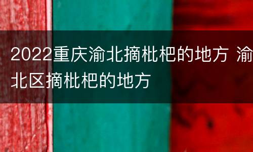 2022重庆渝北摘枇杷的地方 渝北区摘枇杷的地方