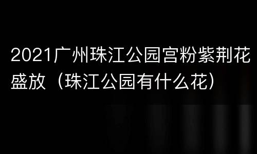 2021广州珠江公园宫粉紫荆花盛放（珠江公园有什么花）