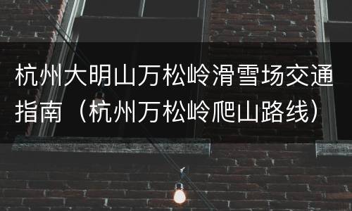 杭州大明山万松岭滑雪场交通指南（杭州万松岭爬山路线）