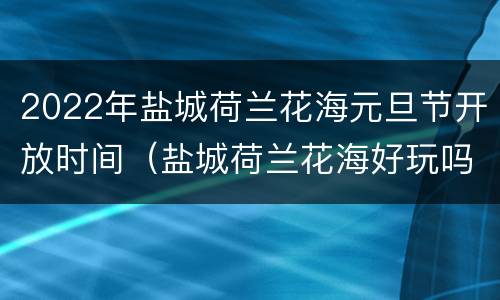 2022年盐城荷兰花海元旦节开放时间（盐城荷兰花海好玩吗）